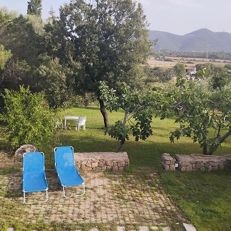 Appartamento In Villa Bruno Ольбия Экстерьер фото
