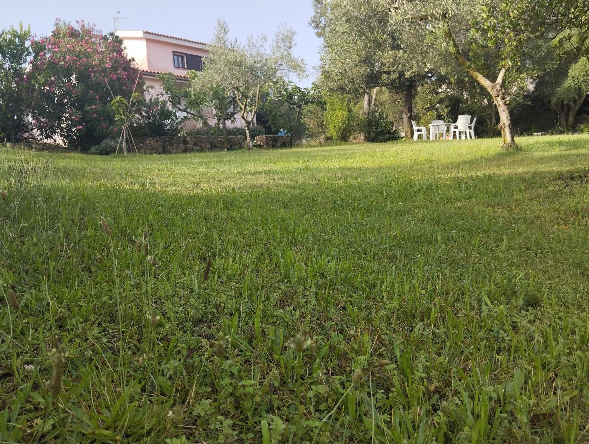 Appartamento In Villa Bruno Ольбия Экстерьер фото